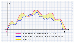 Волновая функция души